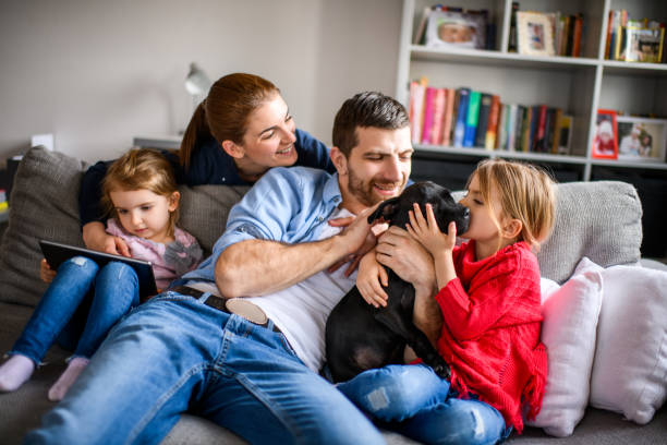 istock Family with children and a dog 973278502