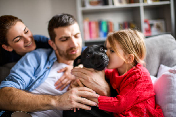 istock Family with child and a dog 973278656