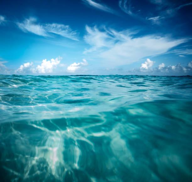 istock Beautiful seascape background 973280242