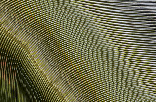 istock Covers design,colorful gradients,future geometric patterns,modern abstract covers set,shapes and composition 973283258