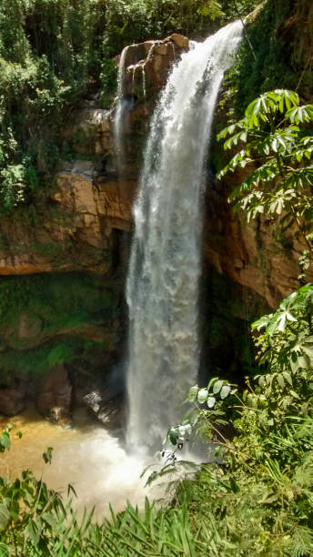 Engineer Reeve's waterfall One of the most beautiful waterfalls of the Espirito Santo (Brazilian Country) floresta stock pictures, royalty-free photos & images