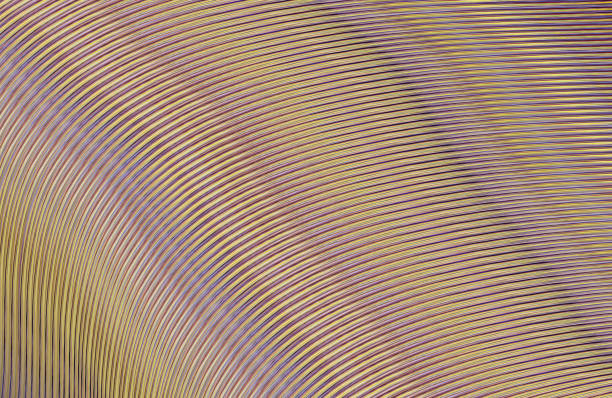 istock Covers design,colorful gradients,future geometric patterns,modern abstract covers set,shapes and composition 973284274