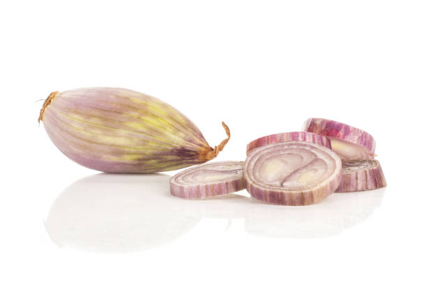 Fresh raw long shallot onion isolated on white One peeled shallot with ring slices stack isolated on white background papery stock pictures, royalty-free photos & images