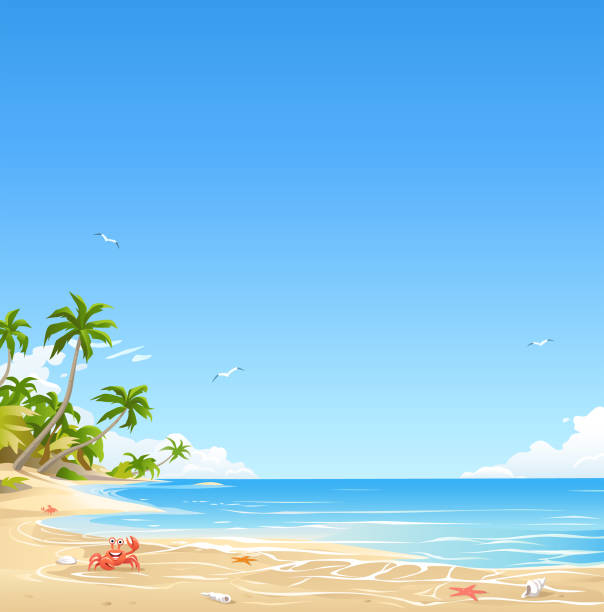 열대 섬 해변 - beach cartoon island sea stock illustrations