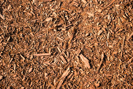 Brown woodchip mulch background or texture. Gardening, playground, parks, paths, texture, natural.
