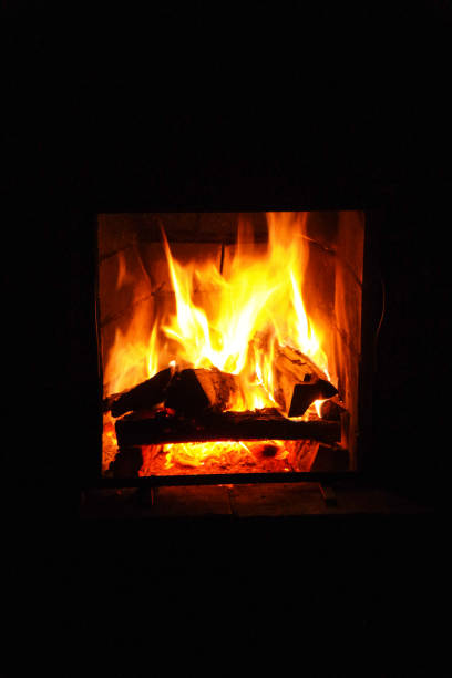 istock In the comfort of home 973293084