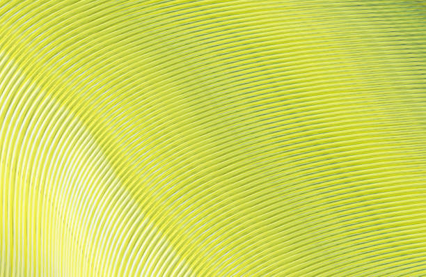 istock Covers design,colorful gradients,future geometric patterns,modern abstract covers set,shapes and composition 973296728