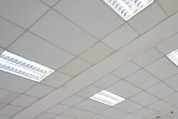 istock White ceiling with neon light bulbs in uprisen view.as background interior decoration concept with copy space for your text or design. 973297102