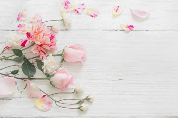istock roses on white wooden background 973297202