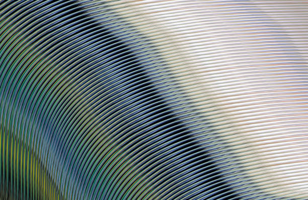 istock Covers design,colorful gradients,future geometric patterns,modern abstract covers set,shapes and composition 973297644