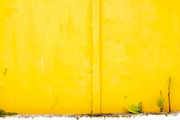 Sheet metal painted yellow old stains.