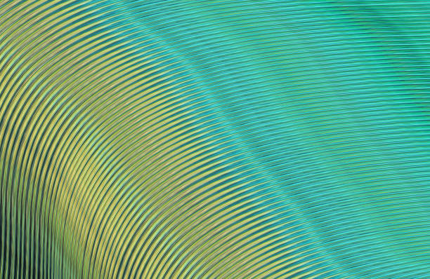 istock Covers design,colorful gradients,future geometric patterns,modern abstract covers set,shapes and composition 973300942
