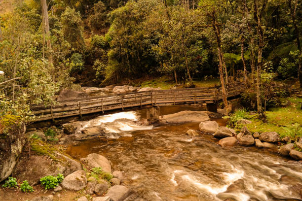 istock The bridge a countryside scene 973300950