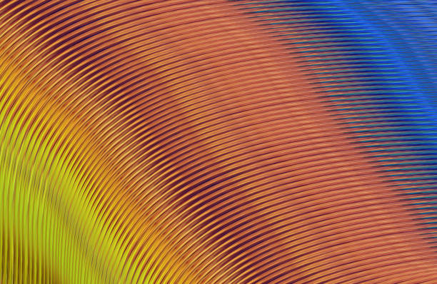 istock Covers design,colorful gradients,future geometric patterns,modern abstract covers set,shapes and composition 973307052