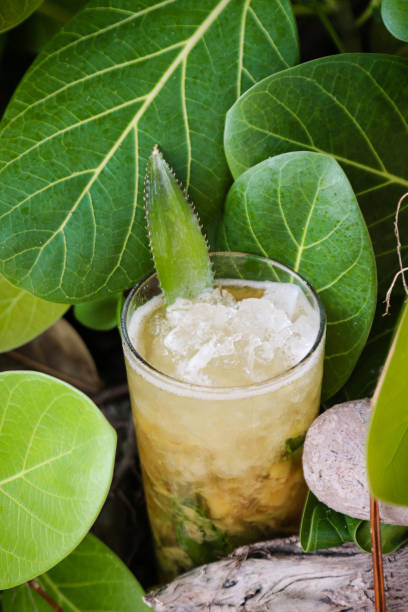 istock tropical summer cocktail in the jungle 973309924
