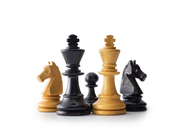 istock Chess Piece isolated on white background 973313750