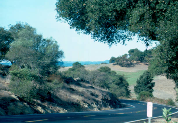 istock California Back Road 973314002