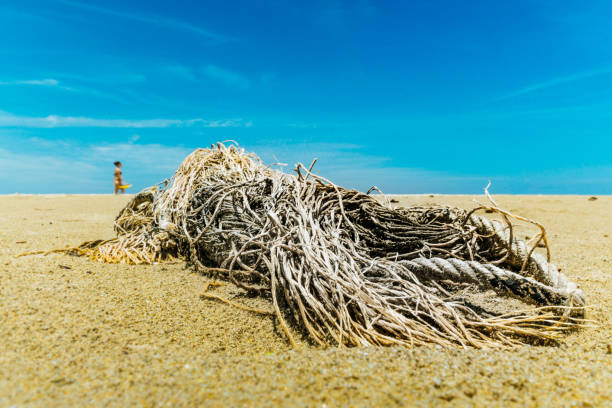 ausrangierte ghost fischernetze am strand von umweltschäden - women ghost walking old fashioned stock-fotos und bilder