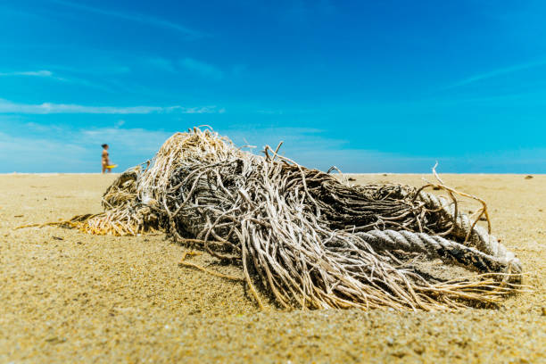 Large amounts of discarded fishing net and rope have been washed up on the beach at Ko Lanta, Krabi, Thailand.  These abandoned or obsolete items become dangerous garbage, polluting the Ocean, referred to as ‘Ghost Nets.’  Ghost Nets are responsible for the deaths of huge amounts of Marine Life every year, through entanglement and consumption.  An unrecognisable woman can be seen walking in the distance.