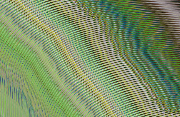 istock Covers design,colorful gradients,future geometric patterns,modern abstract covers set,shapes and composition 973317452