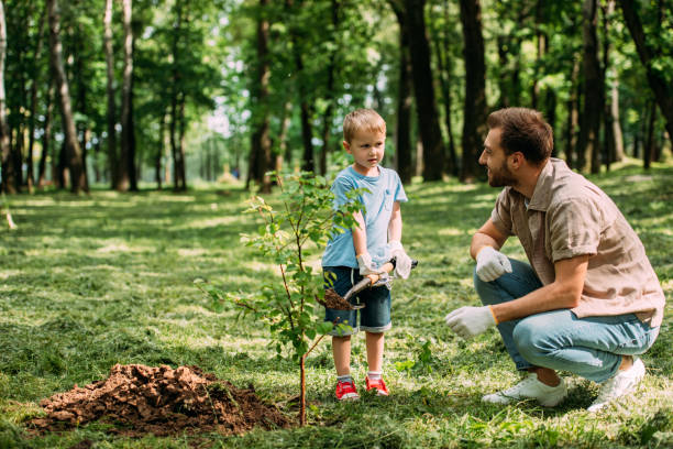 istock father looking how son planting tree with shovel at park 973318468