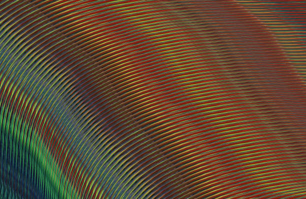 istock Covers design,colorful gradients,future geometric patterns,modern abstract covers set,shapes and composition 973318492