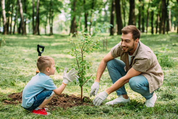 istock happy father and son planting tree at park 973318714