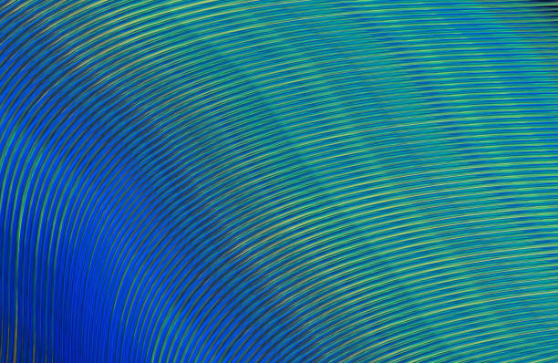 istock Covers design,colorful gradients,future geometric patterns,modern abstract covers set,shapes and composition 973321342