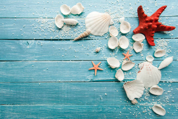 istock Summer sea background - shells and star 973321364