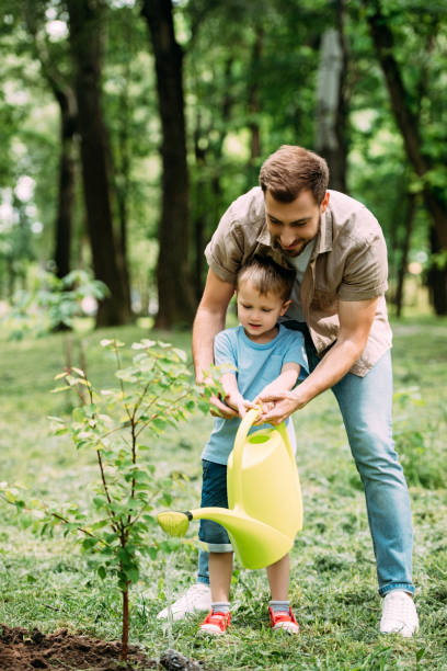 istock dad and son watering seedling with watering can at park 973321570