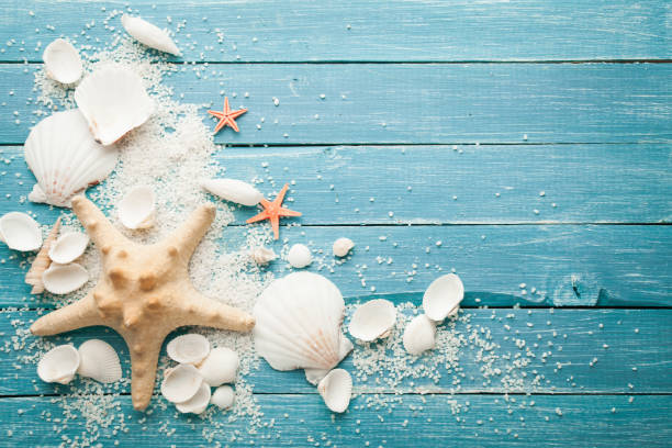 istock Summer sea background - shells and star 973321590