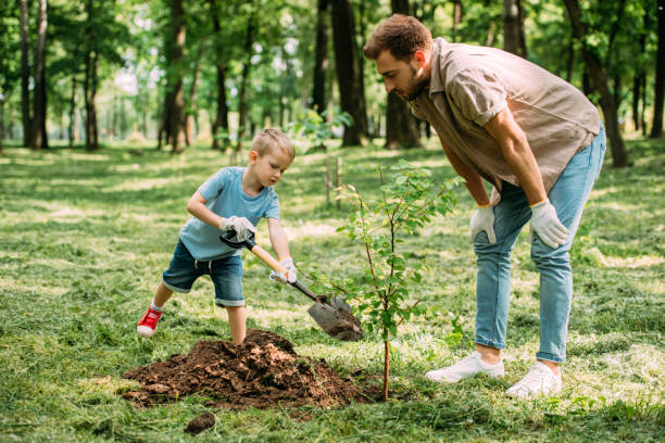istock father looking how son planting tree at park 973321866