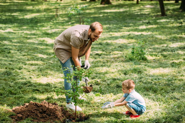 istock father looking at son and planting tree with shovel at park 973322022