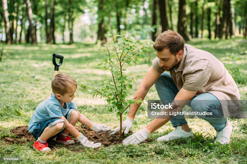 vue du côté du père et fils, plantation d’arbre au parc - Photo de Planter libre de droits