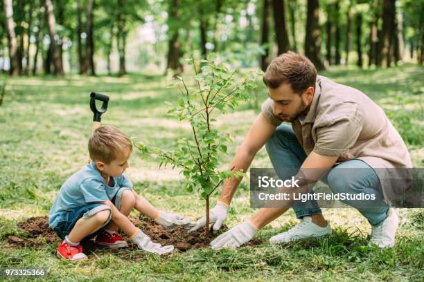 Photo libre de droit de Vue Du Côté Du Père Et Fils Plantation Darbre Au Parc banque d'images et plus d'images libres de droit de Planter