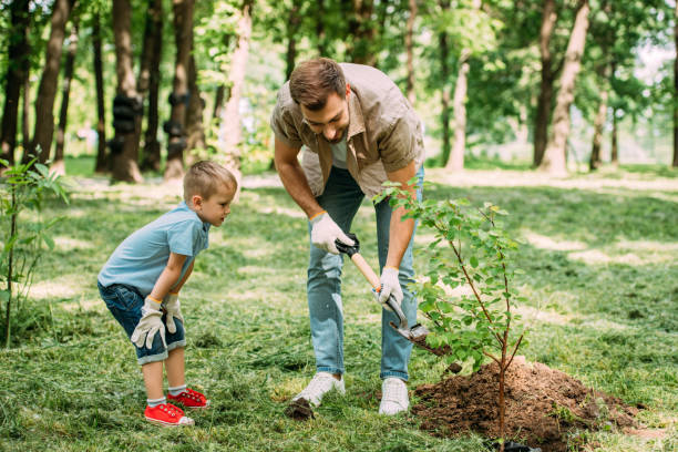 istock father and son planting tree with shovel at park 973325440