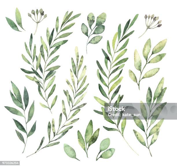 Hand Drawn Watercolor Illustrations Botanical Clipart Set Of Green Leaves Herbs And Branches Floral Design Elements Perfect For Wedding Invitations Greeting Cards Blogs Posters And More Stock Illustration - Download Image Now