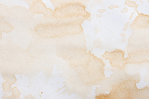Spot from a cup of coffee on white paper / Coffee Stains Set / coffee paint stains