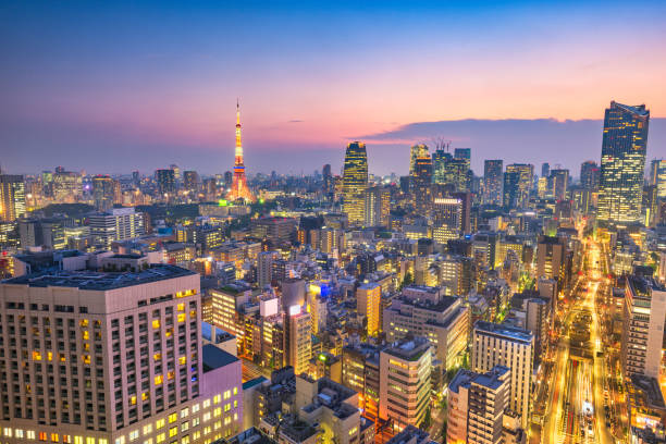 istock Tokyo, Japan Skyline at Dusk 973329486