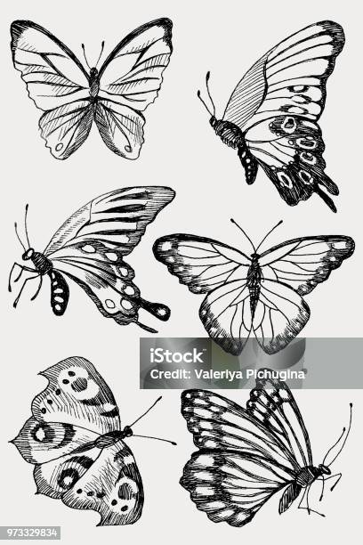 Collection Of Hand Drawn Black Silhouette Butterflies Vector Illustration In Vintage Style Stock Illustration - Download Image Now