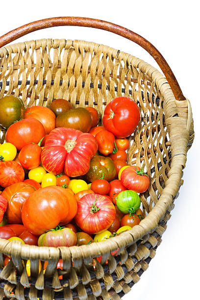 томатный «рогожка» - green tomato black krim tomato cherry tomato tomato стоковые фото и изображения