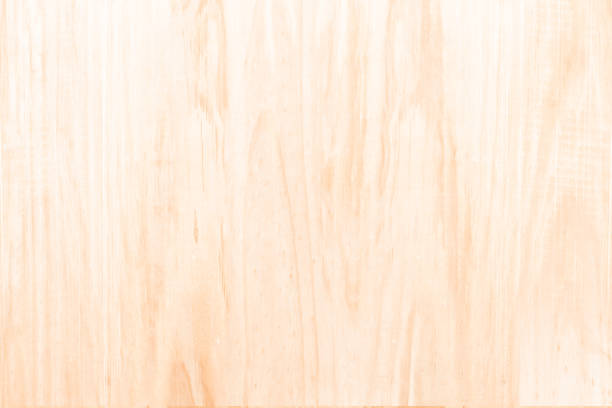 istock Brown wood texture background / wood texture with natural pattern / old wood texture background 973338156