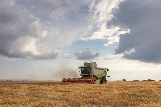 istock Combine harvester working on a wheat field. Harvesting wheat. 973338328