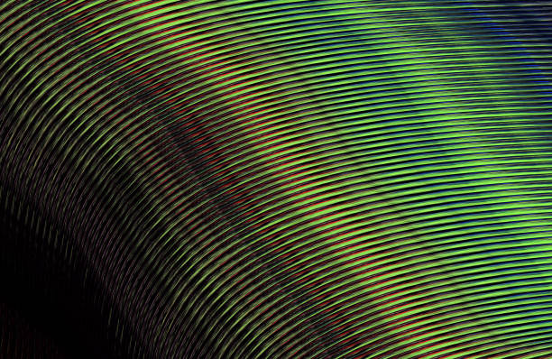 istock Covers design,colorful gradients,future geometric patterns,modern abstract covers set,shapes and composition 973342052