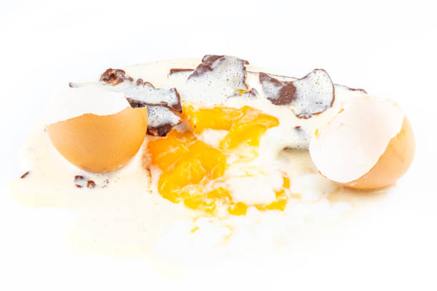 istock Egg Bael with melt chocolate and vanilla ice cream isolated on white background 973348044