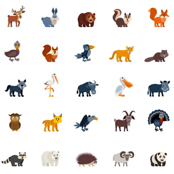 ilustraciones, imágenes clip art, dibujos animados e iconos de stock de animales del bosque bosque - european adder illustrations