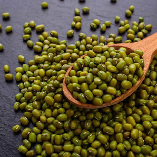 istock fresh Mung beans on a dark stone background 973351408