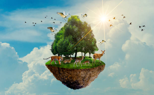 Forest Tree Wildlife Tiger Deer Bird Island Floating In The Sky World  Environment Day World Conservation Day Earth Day Stock Photo - Download  Image Now - iStock