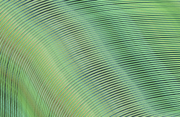 istock Covers design,colorful gradients,future geometric patterns,modern abstract covers set,shapes and composition 973357474