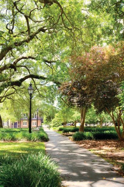 istock Footpath in Historic District, Savannah, Georgia. 973360836